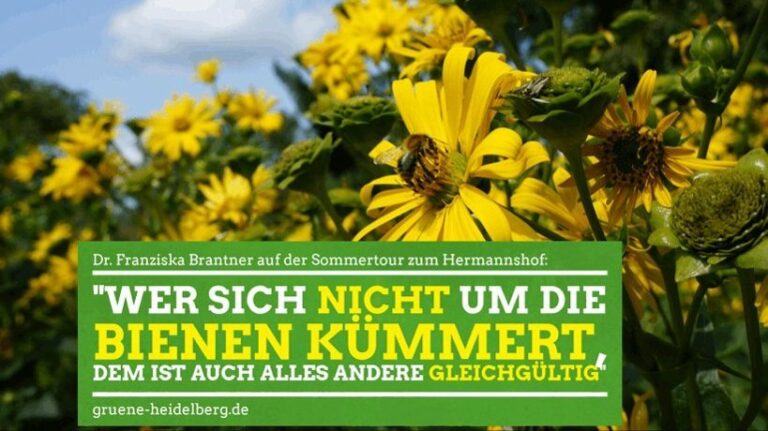Sommertour mit Dr. Franziska Brantner zum Staudenparadies Hermannshof
