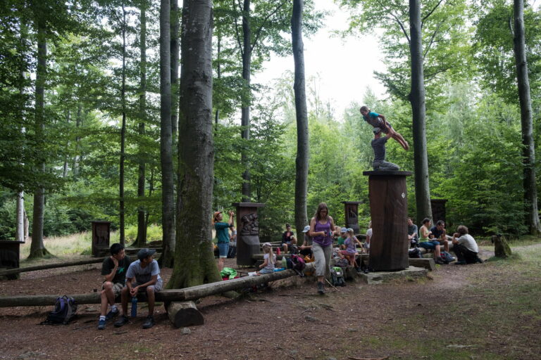 Fahrt in den Nationalpark Schwarzwald mit Umweltstaatssekretär Dr. Andre Baumann