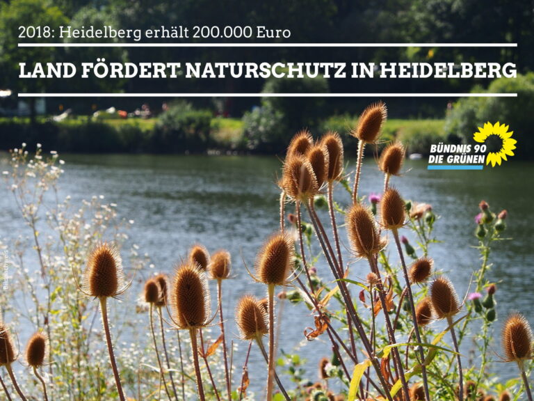 Naturschutzmittel für Heidelberg