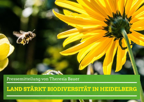 Land stärkt Biodiversität in Heidelberg