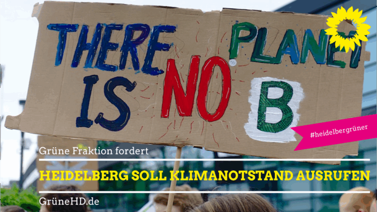 Kurzdebatte im Gemeinderat erfolgreich: OB verspricht Ausrufung des Klimanotstandes