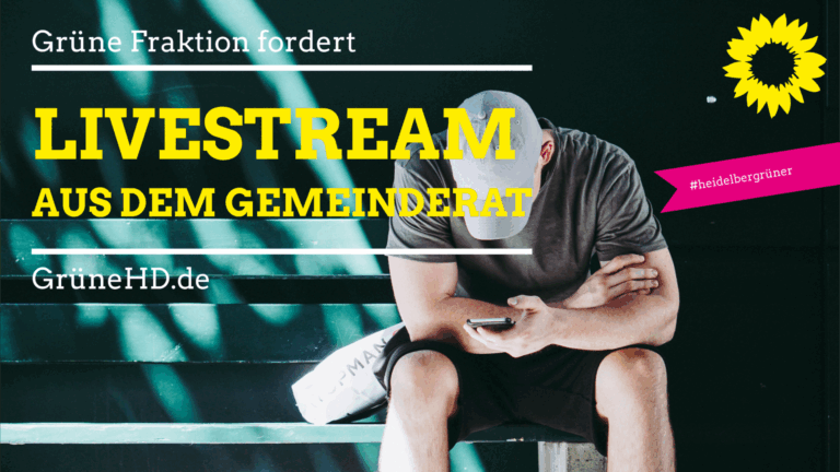 Videoübertragung von Gemeinderatssitzungen: Grüne Fraktion bleibt dran