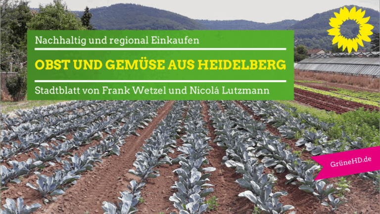 Nachhaltig und regional: Obst und Gemüse aus Heidelberg