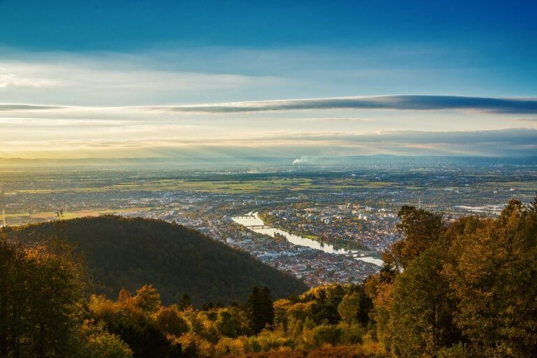 Grüner Erfolg: Mehr Klimaschutz für Heidelberg!