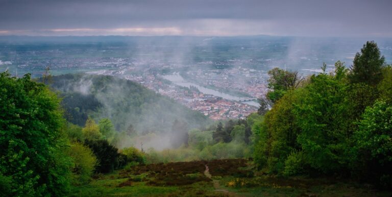 Stellenausschreibung: Bürgermeister*in für Klimaschutz, Umwelt und Mobilität