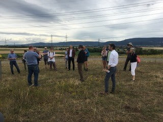 Von der Deponie zum Biotop