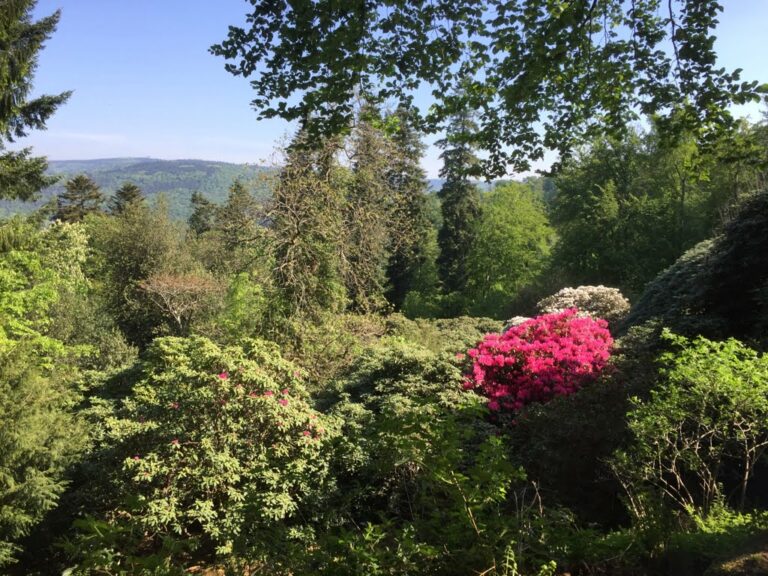 Grüne plädieren für nachhaltiges Tourismuskonzept für Heidelberg