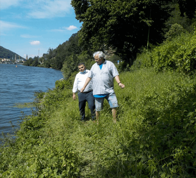 Der Stadtteil Ziegelhausen ein Jahr nach der Gemeinderatswahl