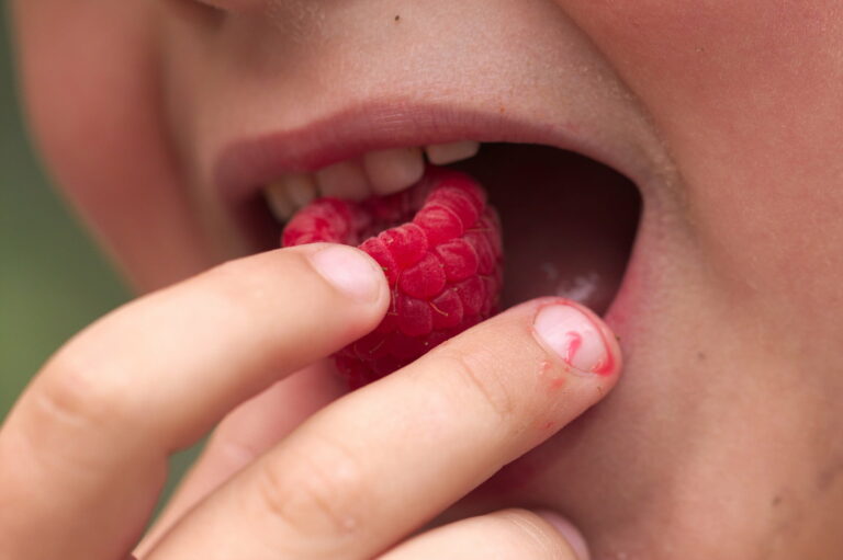 Regionale und nachhaltige Ernährung für Kitas und Schulen