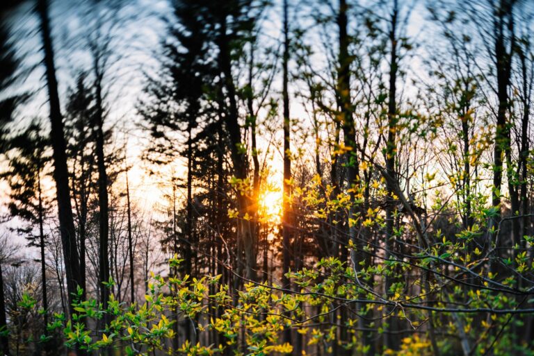 Klimaschutz-Haushalt: Jetzt gilt’s!