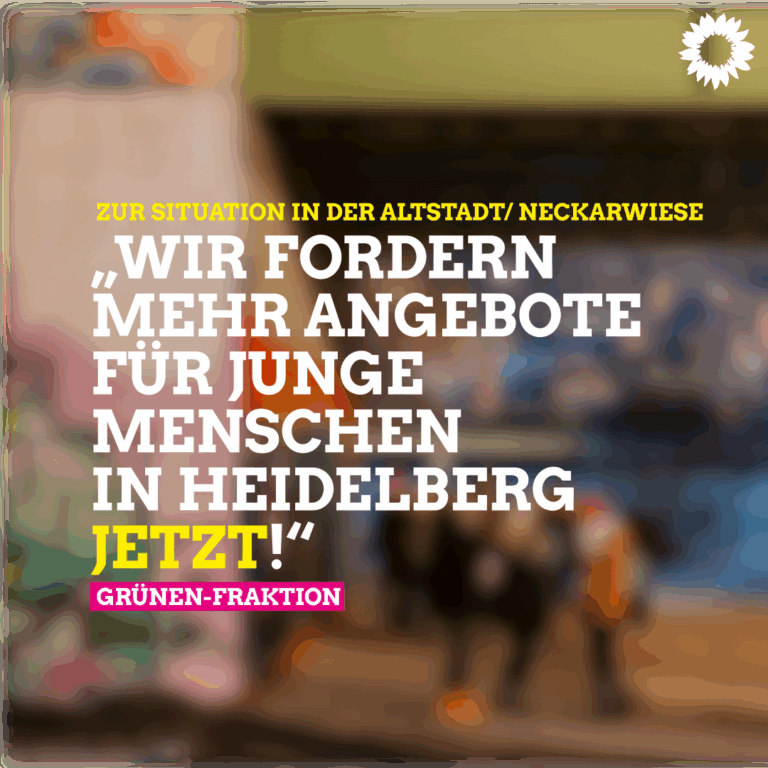 Grüne fordern mehr Angebote für junge Menschen in Heidelberg JETZT!