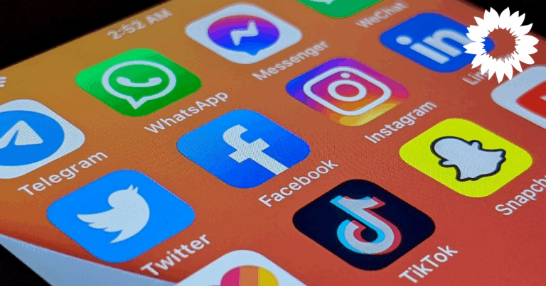 Gesucht: Wahlkampf-Campaigner*in (m/w/d) mit Schwerpunkt Online-Marketing