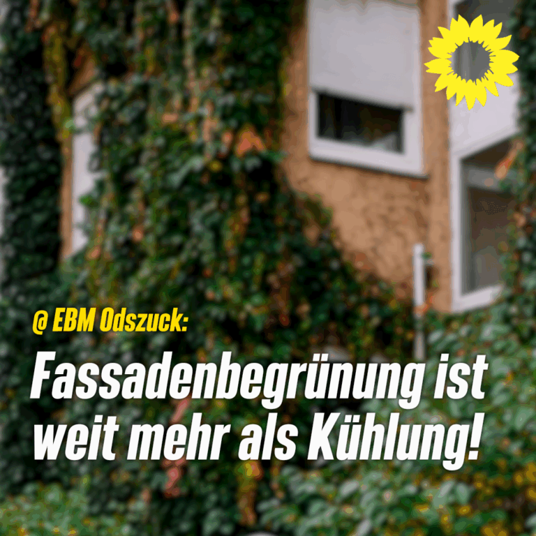 Grüne widersprechen EBM Odszuck: Fassadenbegrünung weit mehr als Kühlung