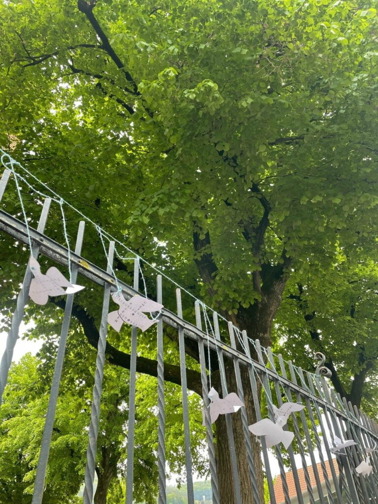 Schule für Frieden und Demokratie