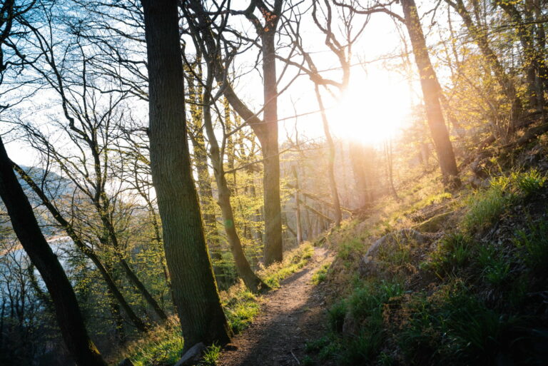 Klimaschutz in Heidelberg: Schluss mit der Trägheit!