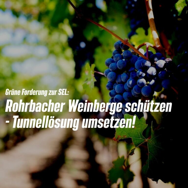 Rohrbacher Weinberge schützen – Tunnellösung umsetzen