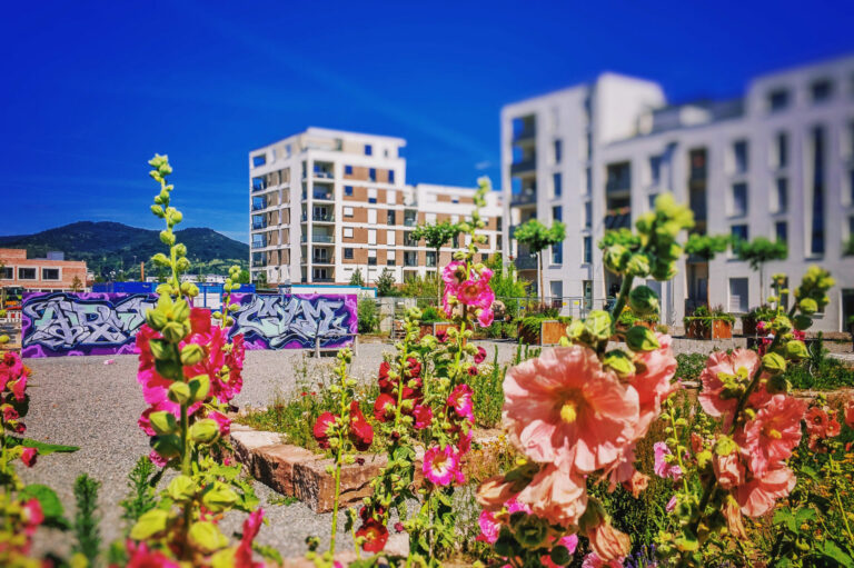 Hitzeschutz in Heidelberg