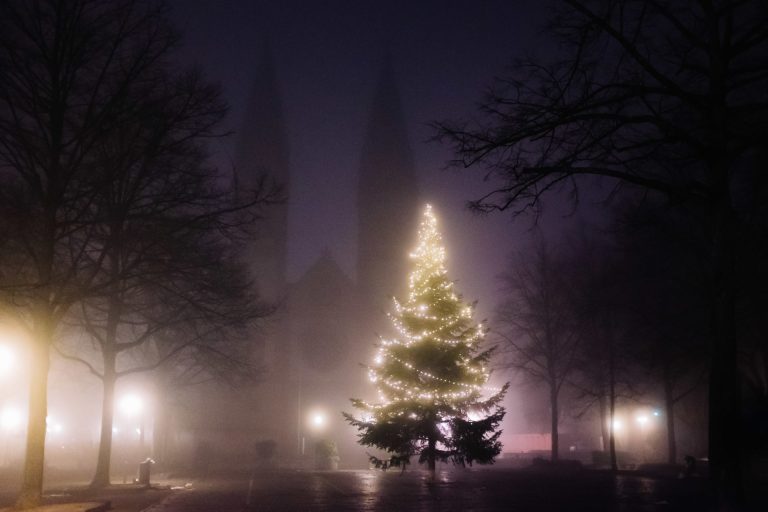 2023 – Blick zurück