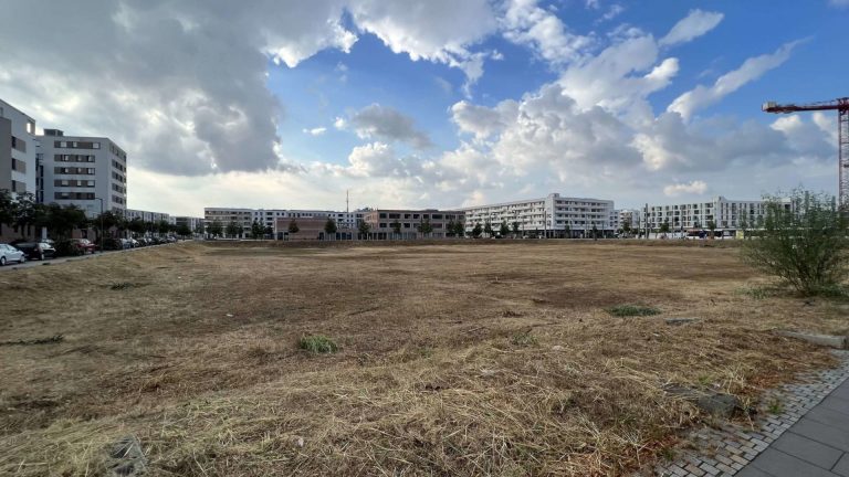 Vorschläge für das Baufeld Z1 in der Bahnstadt: offener Brief an den OB