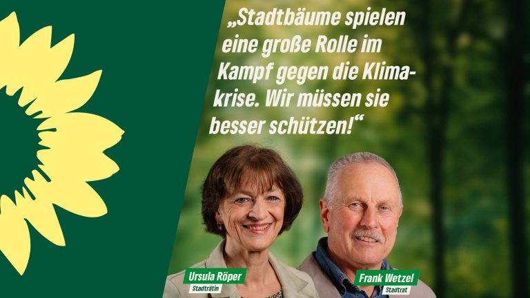Geheimnisse der Stadtbäume: Palmen und Feigen auf dem Vormarsch